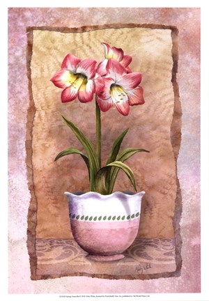 Framed Spring Amaryllis Print