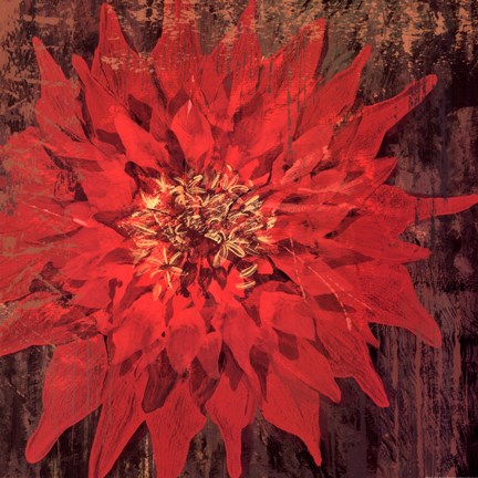Framed Floral Frenzy Red IV - square Print