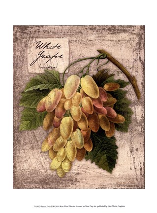 Framed Fresco Fruit II Print