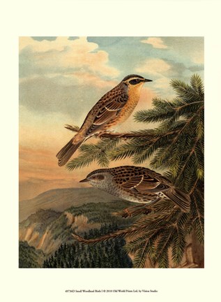 Framed Small Woodland Birds I Print