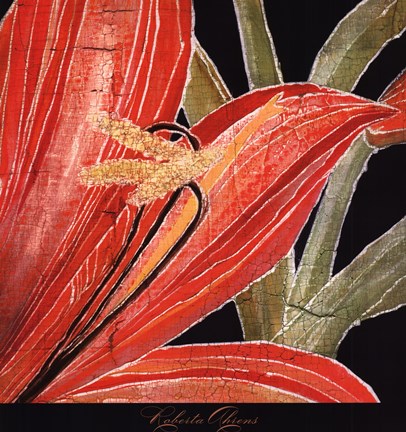 Framed Red Amaryllis With Stem Print