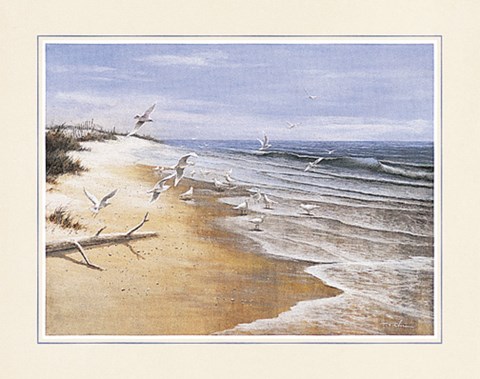 Framed Deserted Beach Seagulls Print