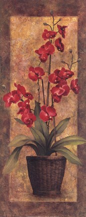 Framed Potted Orchid - Red Print