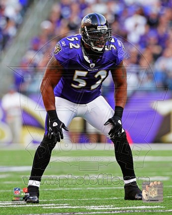 Framed Ray Lewis 2011 Action Print