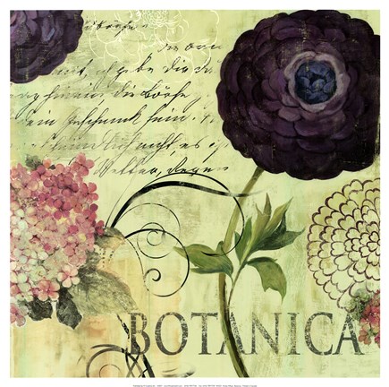 Framed Botanica Print