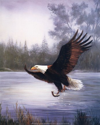Framed Eagle Fishing Print