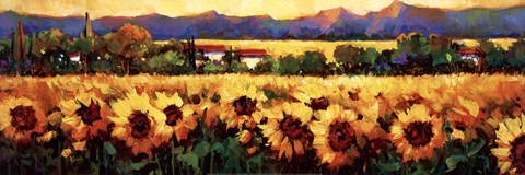 Framed Sweeping Fields of Sunflowers Print