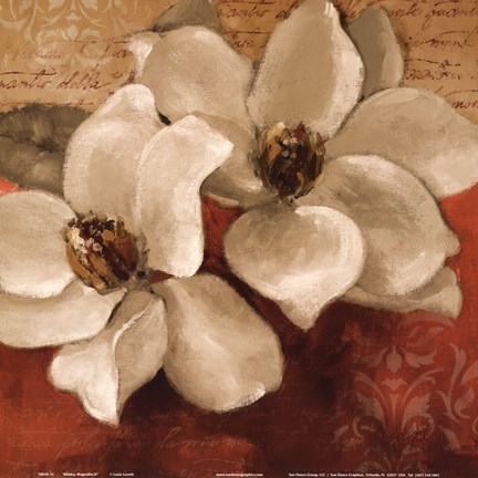Framed Midday Magnolias II Print