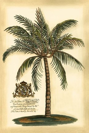Framed British Colonial Palm III Print