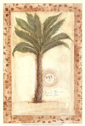 Framed Palmetto Palm Print