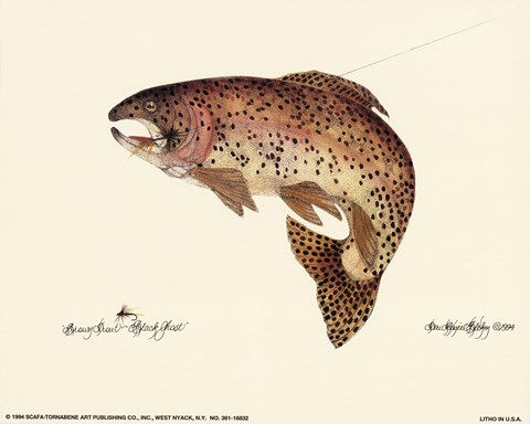 Framed Brown Trout Print