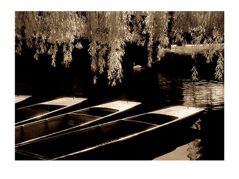 Framed Punts on the River Cam, Cambridge Print