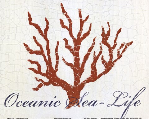 Framed Oceanic Sea-Life Print
