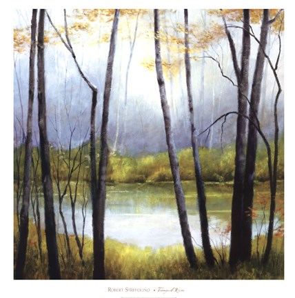 Framed Tranquil River Print