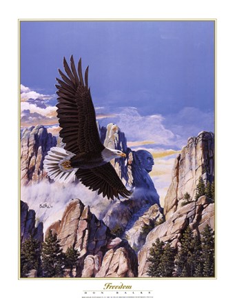 Framed (Freedom) Eagle in Flight Print