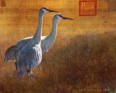 Framed Walking Cranes Print