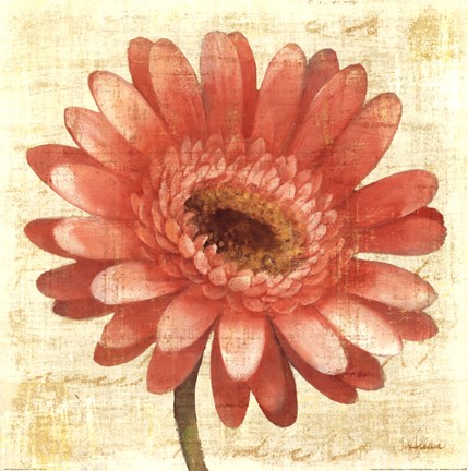 Framed Blushing Gerbera on Cream Print