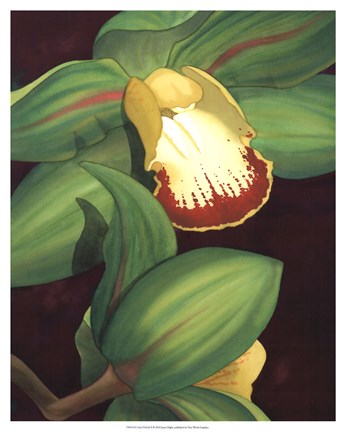 Framed Lime Orchid II Print