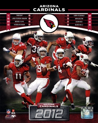 Framed Arizona Cardinals 2012 Team Composite Print
