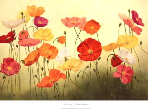 Framed Sunlit Poppies Print