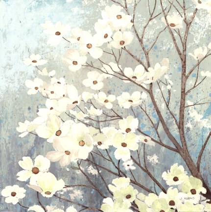 Framed Dogwood Blossoms I Print