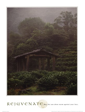 Framed Rejuvenate - Tea Plantation Print