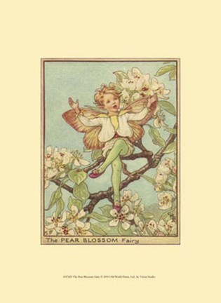Framed Pear Blossom Fairy Print