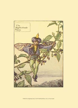 Framed Nightshade Fairy Print