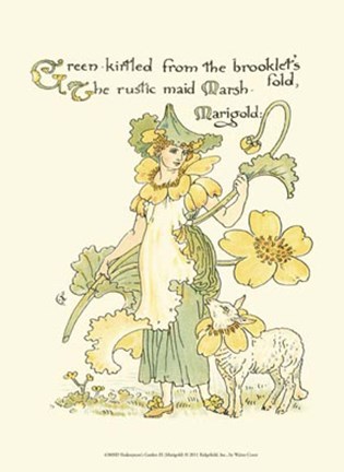 Framed Shakespeare&#39;s Garden IX (Marigold) Print