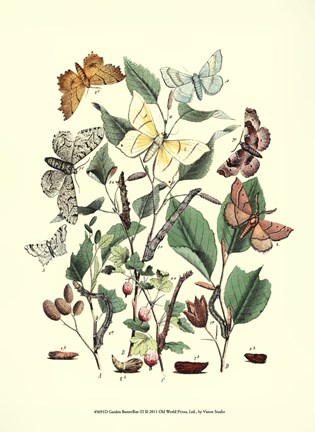 Framed Garden Butterflies III Print