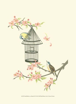 Framed Small Birds on a Branch II Print
