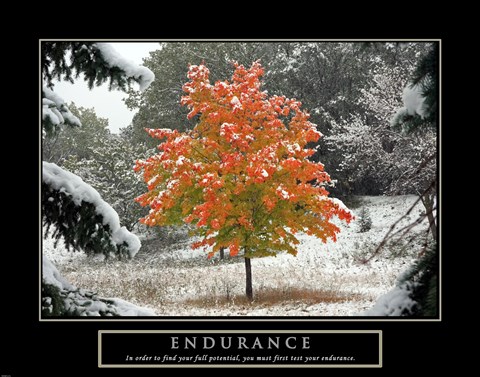 Framed Endurance - Fall Tree Print