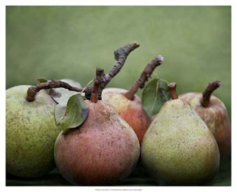Framed Comice Pears I Print