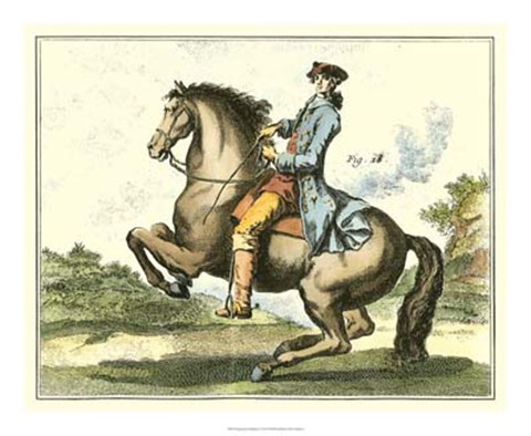 Framed Equestrian Training IV Print
