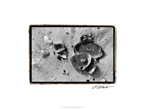 Framed Sand Treasures II Print