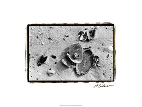Framed Sand Treasures III Print