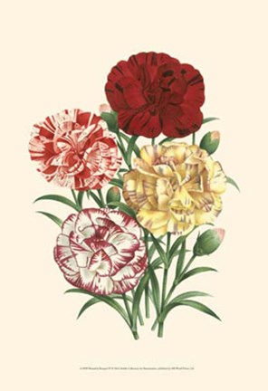 Framed Bountiful Bouquet IV Print