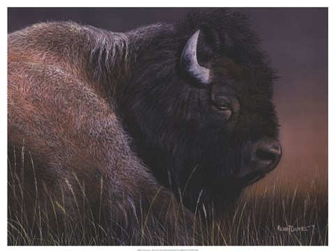Framed American Icon- Bison Print