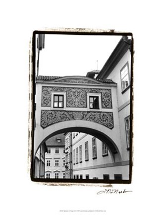 Framed Splendors of Prague III Print