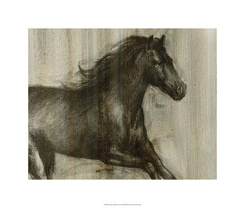 Framed Dynamic Stallion I Print