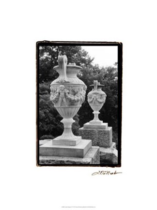 Framed Garden Elegance IV Print