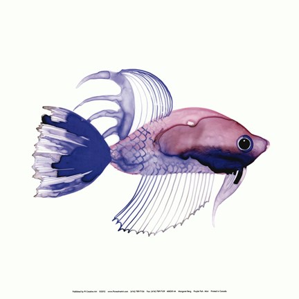 Framed Purple Fish Print