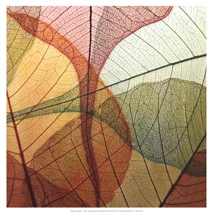 Framed Colourful Leaves I Print