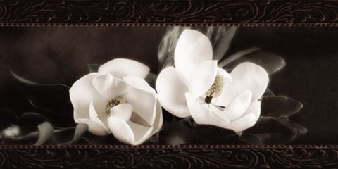 Framed Soft Magnolias I Print