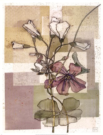 Framed FLOWERS FOR RENE II Print