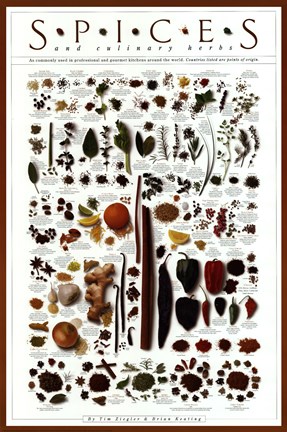 Framed Spices and Culinary Herbs Print