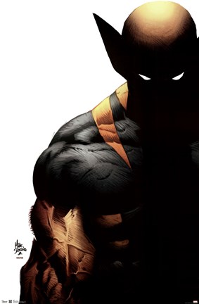 Framed Wolverine - Shadow Print