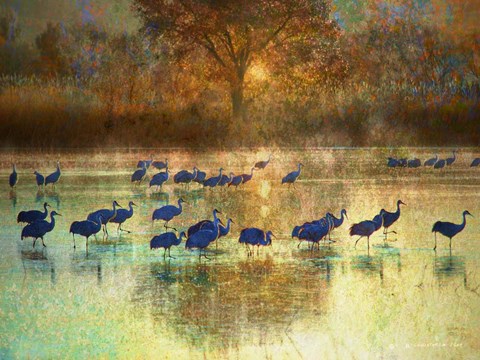 Framed Cranes in Mist II Print