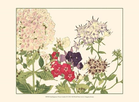 Framed Small Japanese Flower Garden II Print