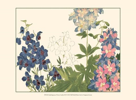 Framed Small Japanese Flower Garden III Print